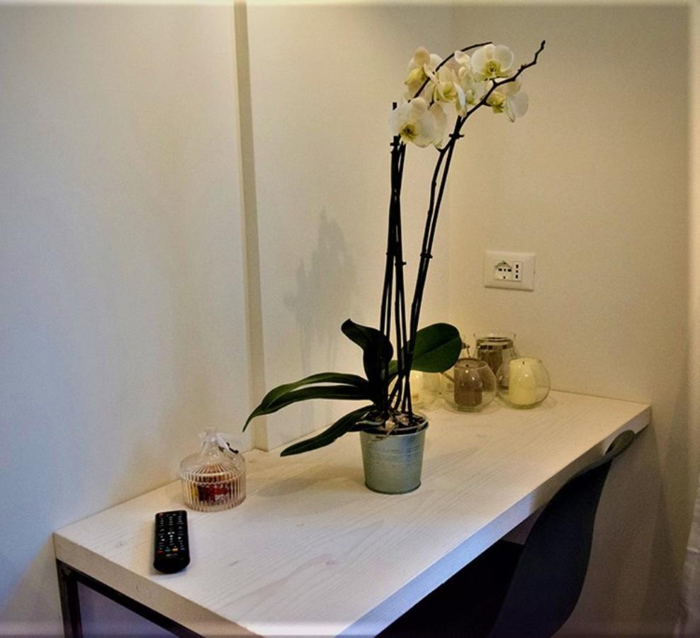 St. Peter'S Luxury Rooms Roma Dış mekan fotoğraf